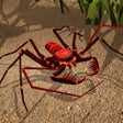 Ikona programu: Life of Phrynus - Whip Sp…
