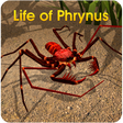 Ikon program: Life of Phrynus - Whip Sp…