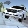 程序图标：Indian Cars Driving 3D
