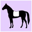 Icon of program: DressMyHorse