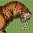 Programikonen: What the Walrus Knows
