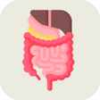 Biểu tượng của chương trình: Digestive System