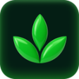 Programikonen: Pagifye Sync