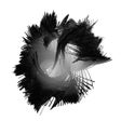 プログラムのアイコン：Spacedots