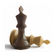 程序图标：Bluetooth Chessboard