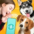Programikonen: Dog Translator: Human to …