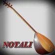 Programikonen: Virtual Baglama With Note…