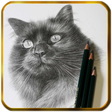 Programikonen: Pencil drawings for begin…