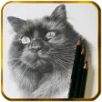 Pencil drawings for beginners