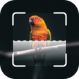Ikona programu: Bird identification: Pict…
