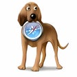 Иконка программы: HistoryHound