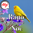 プログラムのアイコン：Czech Good Morning to Nig…