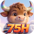 75HZenFlow icon