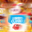 Ikon program: BirdClimb