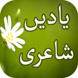 Programikonen: Yaadein Shayari