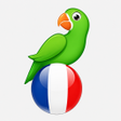 Ikona programu: Learn French from scratch