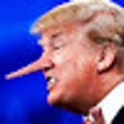 プログラムのアイコン：Honest Trump
