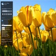 Programikonen: LocalGalleryViewerExtensi…