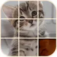 Puzzle Kittens