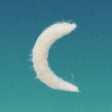 Programikonen: Coachella Official