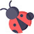 חיפושית icon