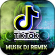 Programikonen: Musik DJ Viral Indo