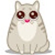 프로그램 아이콘: Chrome Cats Inc