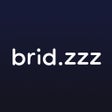 Programın simgesi: brid.zzz