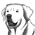 Ikona programu: How to Draw Dogs