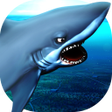 Angry Shark icon