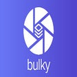 프로그램 아이콘: Bulky