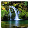 程序图标：Nature Wallpapers!