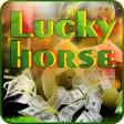 Lucky horse