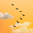 Programikonen: Evening Sky ライブ壁紙