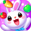 أيقونة البرنامج: Fruit Bunny Mania