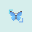 Иконка программы: InsectID Scanner - Insect…
