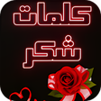 Programikonen: كلمات شكر و تقدير
