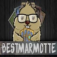 Programikonen: Bestmarmotte Extension Tw…