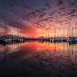 Programikonen: Landscape Live Wallpaper