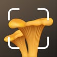 프로그램 아이콘: Mushroom Identification I…