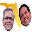 Symbol des Programms: Florida Man