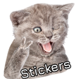 Иконка программы: WASticker: Cat Stickers