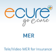 Ikon program: Ecure-MER
