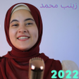 Programikonen: اناشيد لزينب محمد