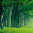 プログラムのアイコン：Forest Jigsaw Puzzles