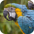 Icon of program: Birds Jigsaw Puzzle
