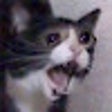 Ikon program: dccon downloader