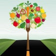 Icoon van programma: VeganXpress - Menu & Shop…