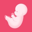 Icoon van programma: PregTracker: Pregnancy Ap…