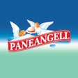 Icon of program: RICETTARIO PANEANGELI